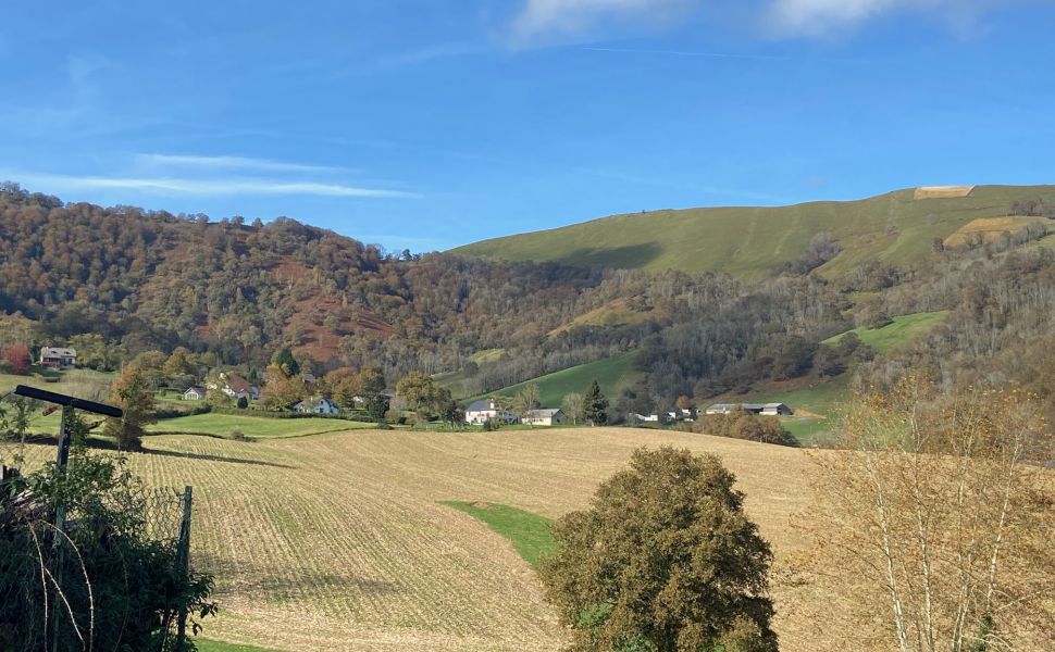 Belle Maison Souletine à la Lisière du village avec Vue Dégagé des Montagnes